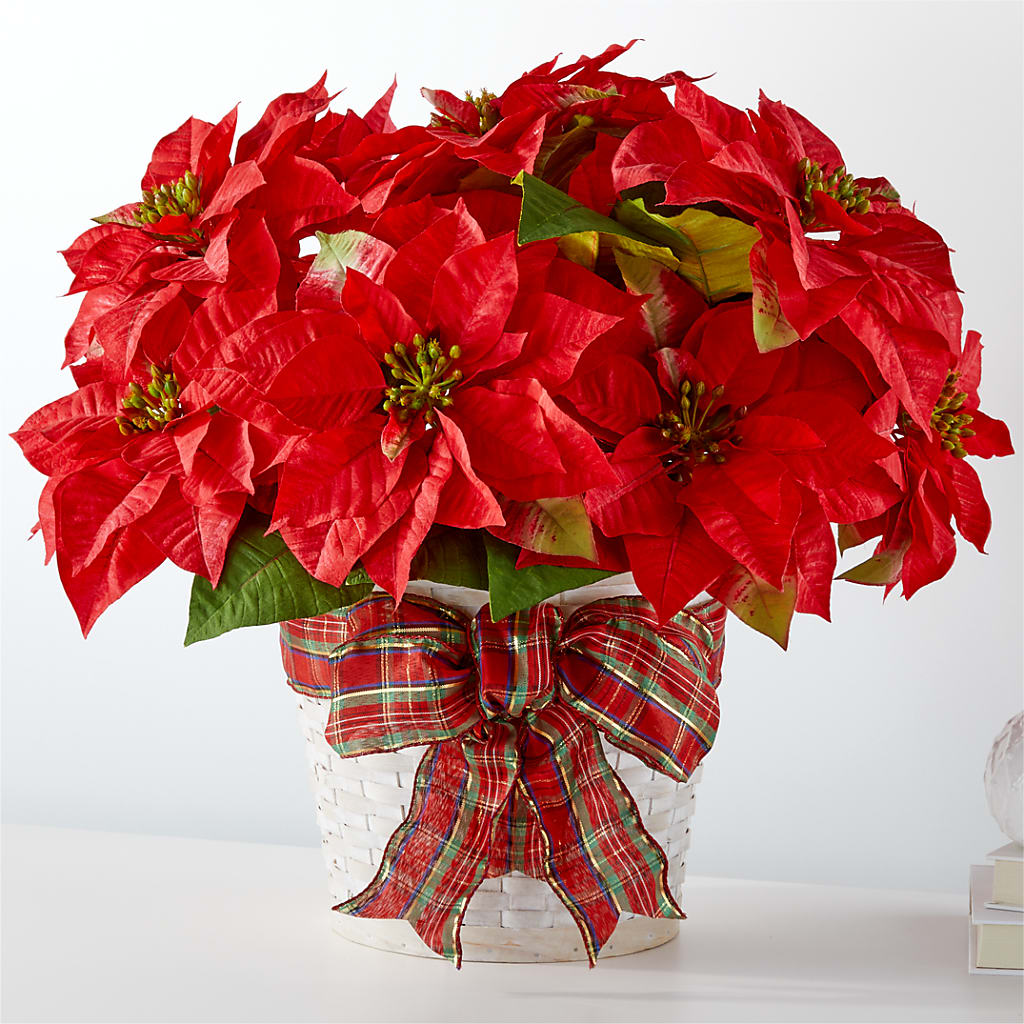 Happiest Holidays Poinsettia – AMELIA'S FLOWERS, Naples FL