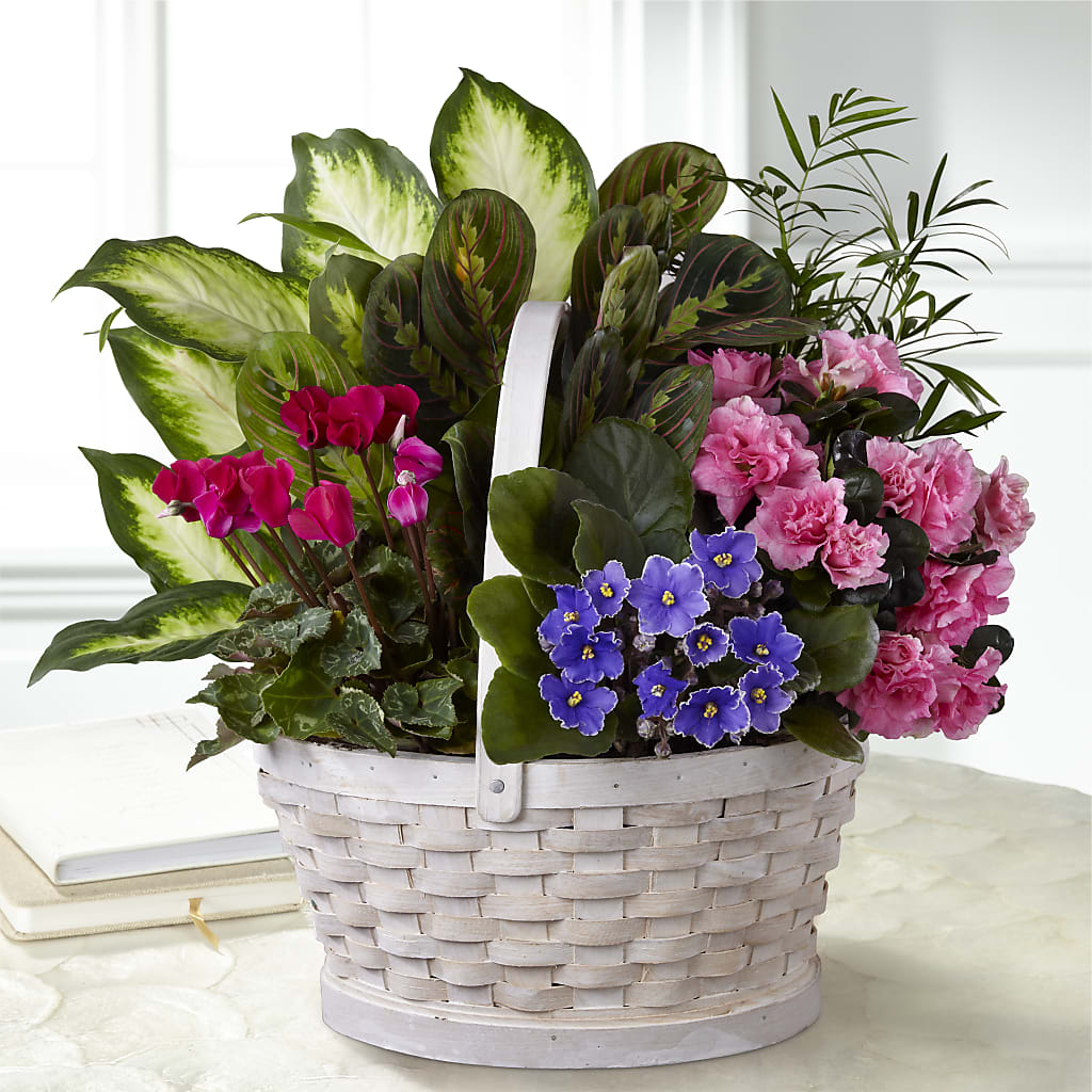 Peaceful Garden Planter – AMELIA'S FLOWERS, Naples FL