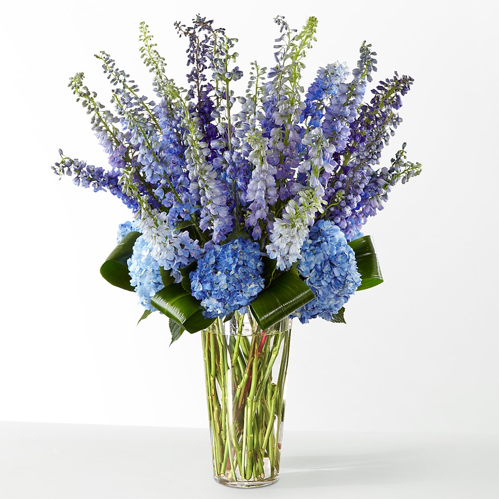 The Editorial – AMELIA'S FLOWERS, Naples FL
