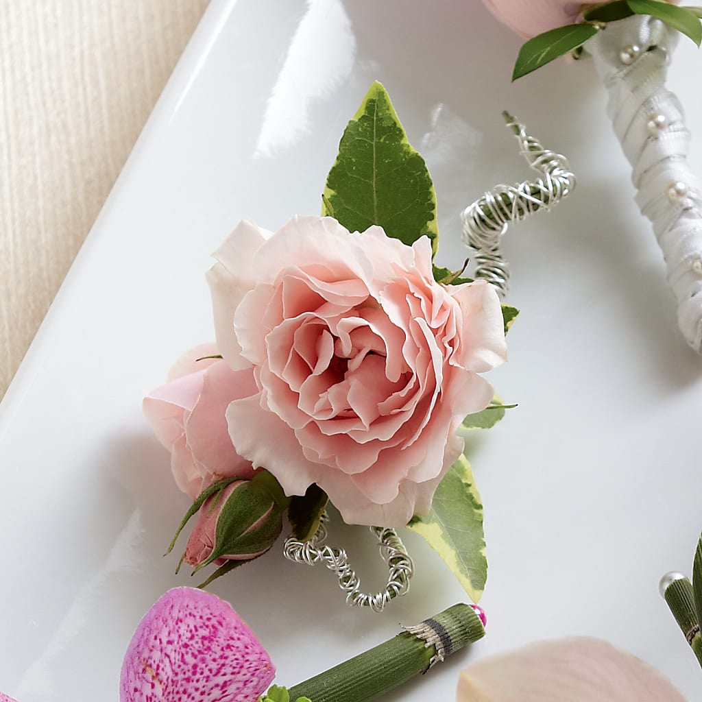 Pink Spray Rose Boutonniere – AMELIA'S FLOWERS, Naples FL