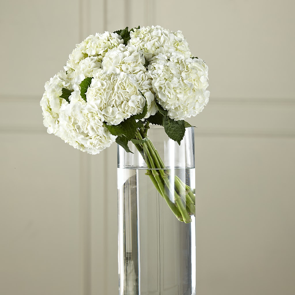 White Hydrangea Hand-Tied Bouquet – AMELIA'S FLOWERS, Naples FL