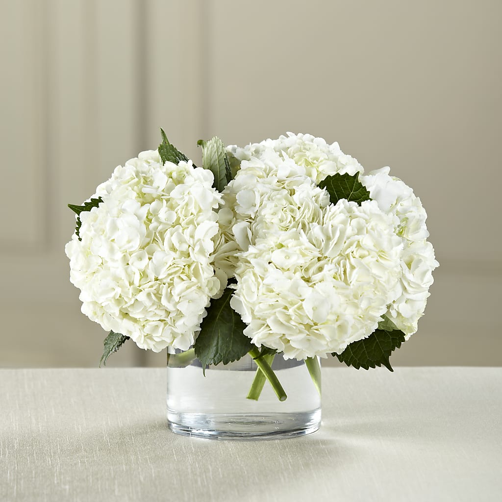 White Hydrangea Bouquet – AMELIA'S FLOWERS, Naples FL