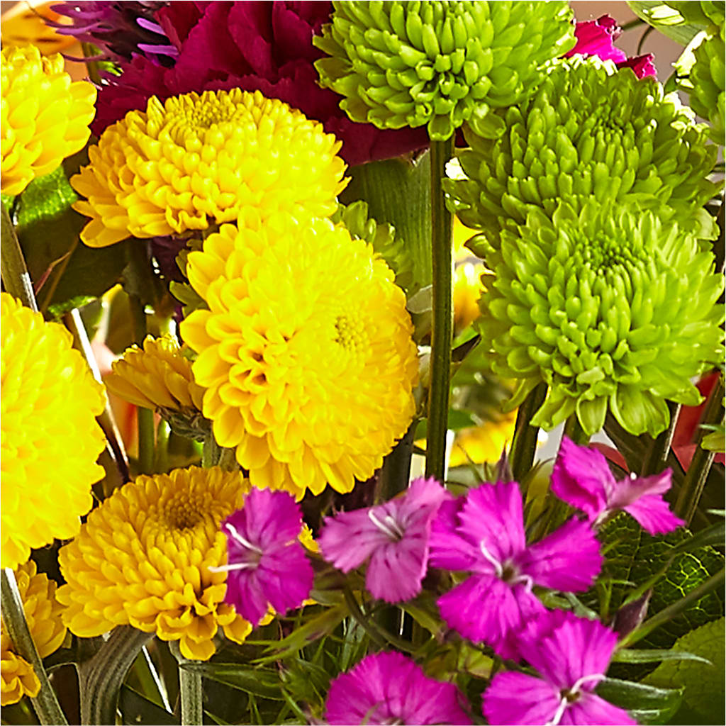Bold & Bright – A Florist Original – AMELIA'S FLOWERS, Naples FL