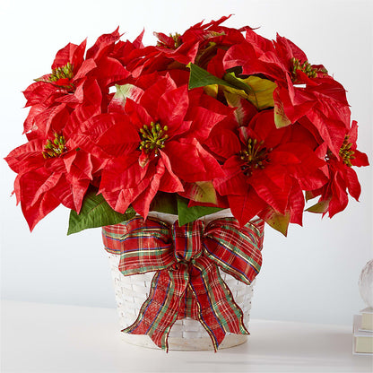 Happiest Holidays Poinsettia – AMELIA'S FLOWERS, Naples FL