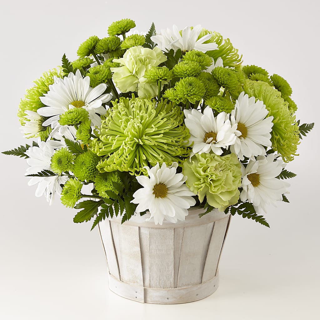 Lucky Charm Basket (Standard) – AMELIA'S FLOWERS, Naples FL