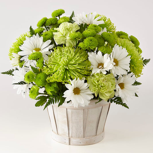Lucky Charm Basket (Standard) – AMELIA'S FLOWERS, Naples FL
