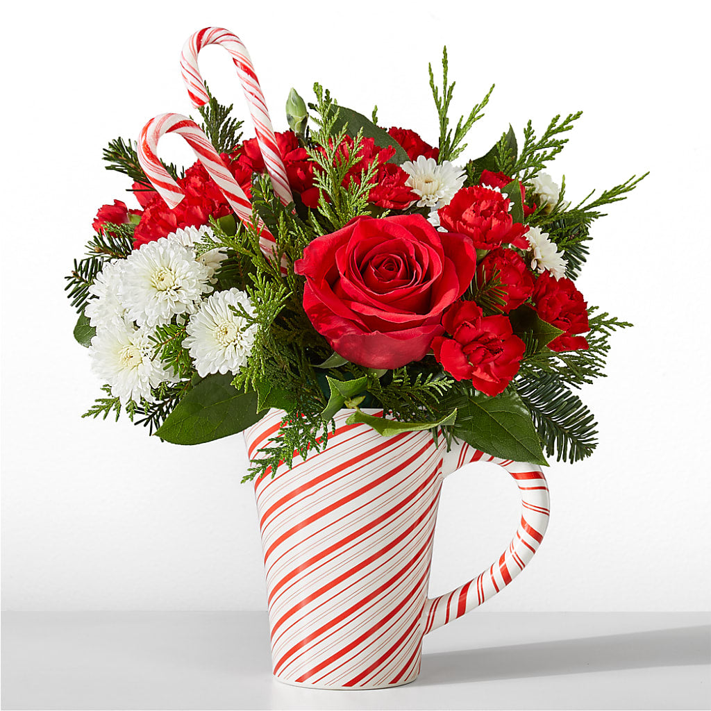 Peppermint Swirl Mug – AMELIA'S FLOWERS, Naples FL