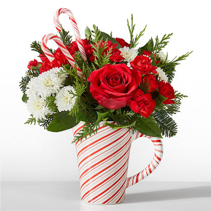 Peppermint Swirl Mug – AMELIA'S FLOWERS, Naples FL