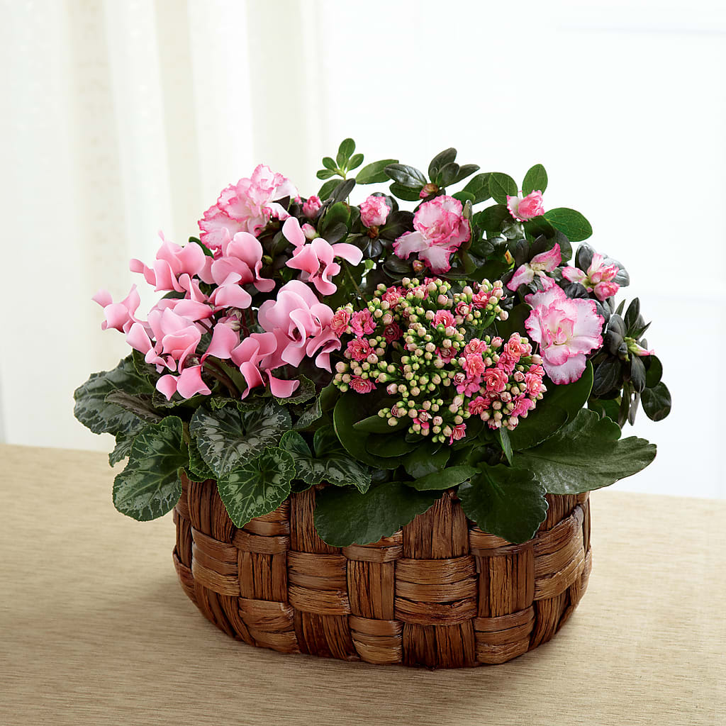 Pink Assortment – AMELIA'S FLOWERS, Naples FL