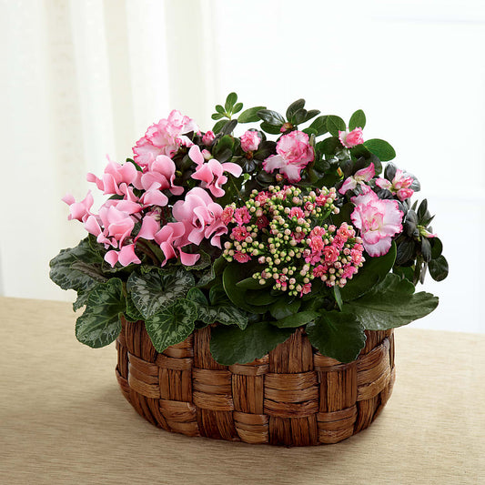 Pink Assortment – AMELIA'S FLOWERS, Naples FL