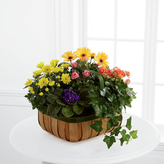 Gentle Blossoms Basket – AMELIA'S FLOWERS, Naples FL