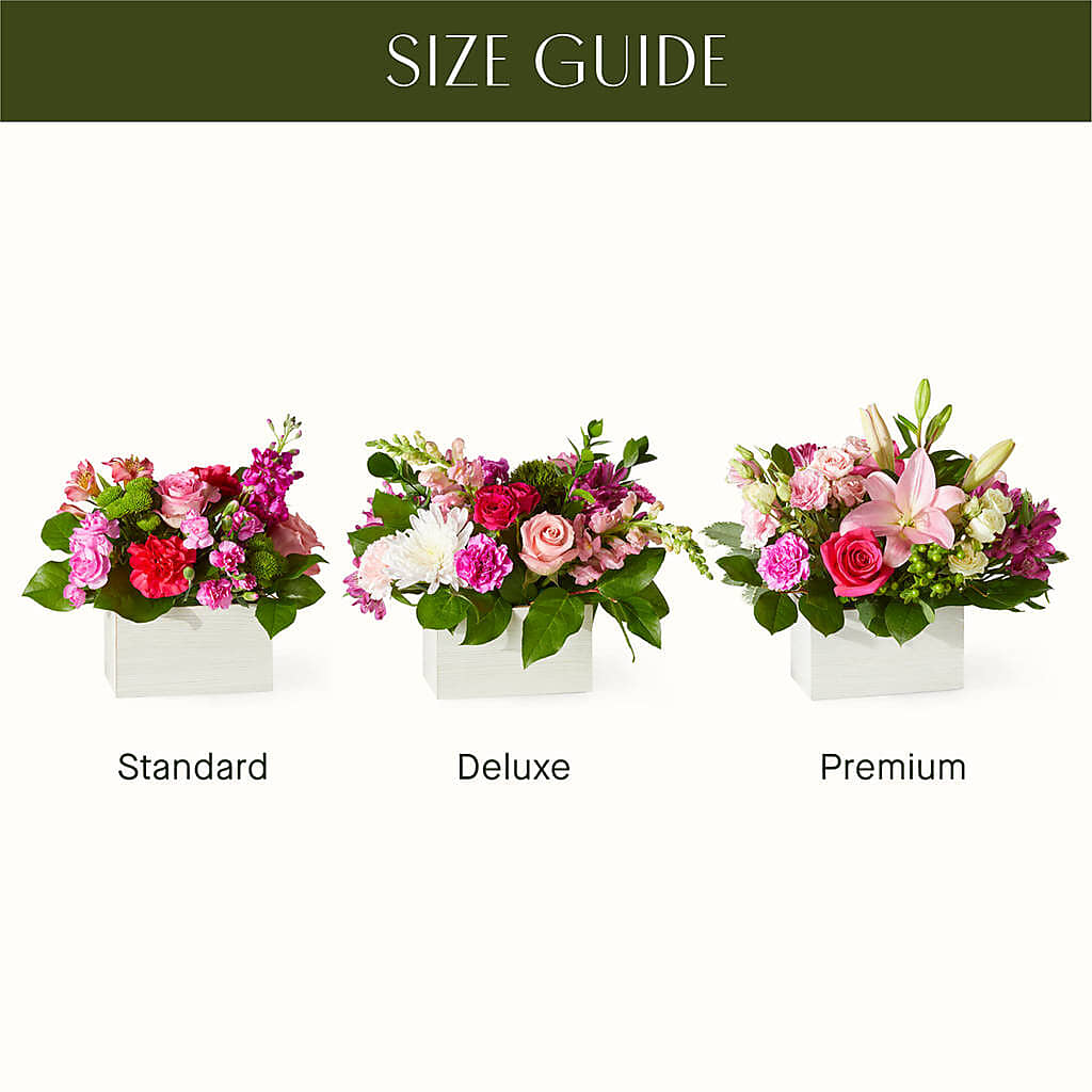 Sweetberry Box – A Florist Original – AMELIA'S FLOWERS, Naples FL