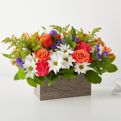 Oopsie Daisy Box Bouquet – AMELIA'S FLOWERS, Naples FL