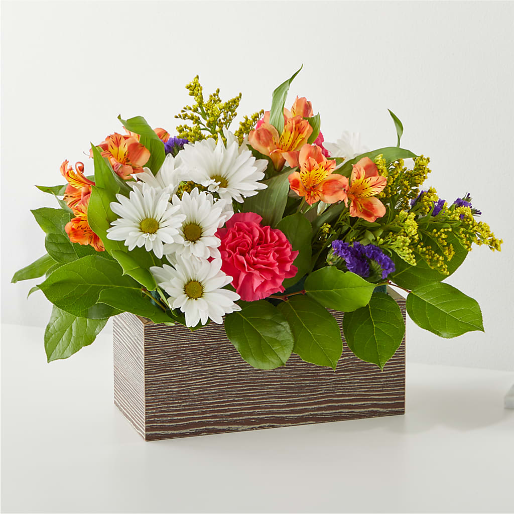 Oopsie Daisy Box Bouquet – AMELIA'S FLOWERS, Naples FL