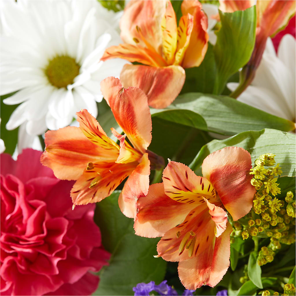 Oopsie Daisy Box Bouquet – AMELIA'S FLOWERS, Naples FL