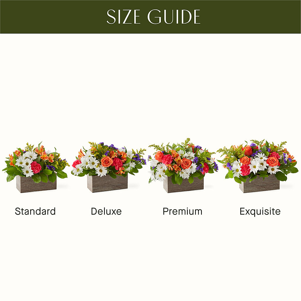 Oopsie Daisy Box Bouquet – AMELIA'S FLOWERS, Naples FL