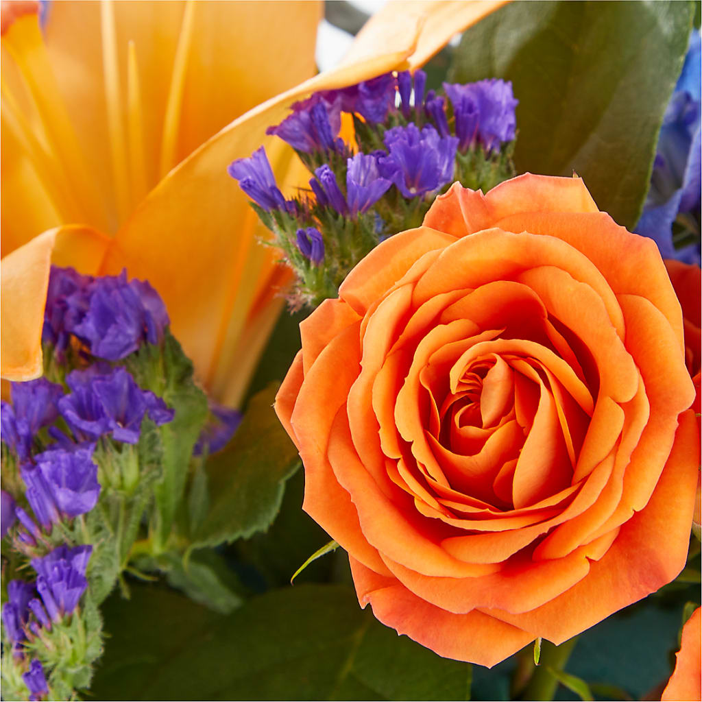 Radiant Citrus Box Bouquet – AMELIA'S FLOWERS, Naples FL