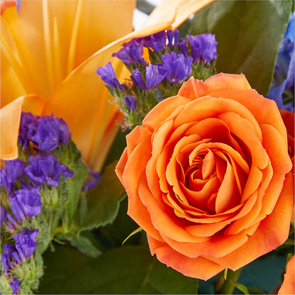 Radiant Citrus Box Bouquet – AMELIA'S FLOWERS, Naples FL
