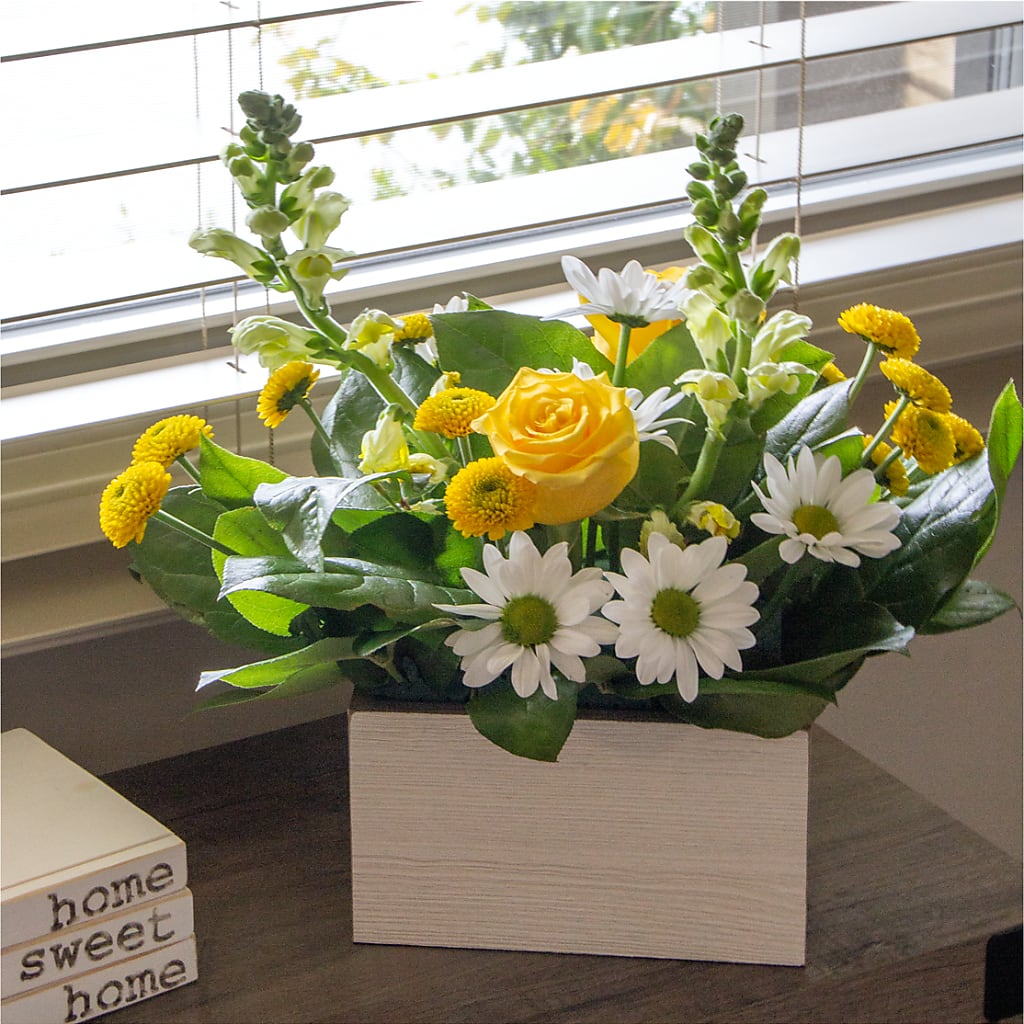 Sun Salutation Box Bouquet – AMELIA'S FLOWERS, Naples FL