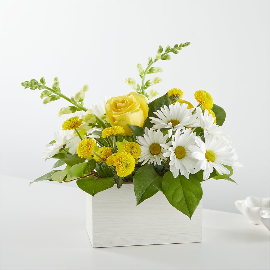 Sun Salutation Box Bouquet – AMELIA'S FLOWERS, Naples FL