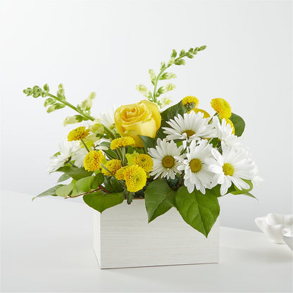 Sun Salutation Box Bouquet – AMELIA'S FLOWERS, Naples FL