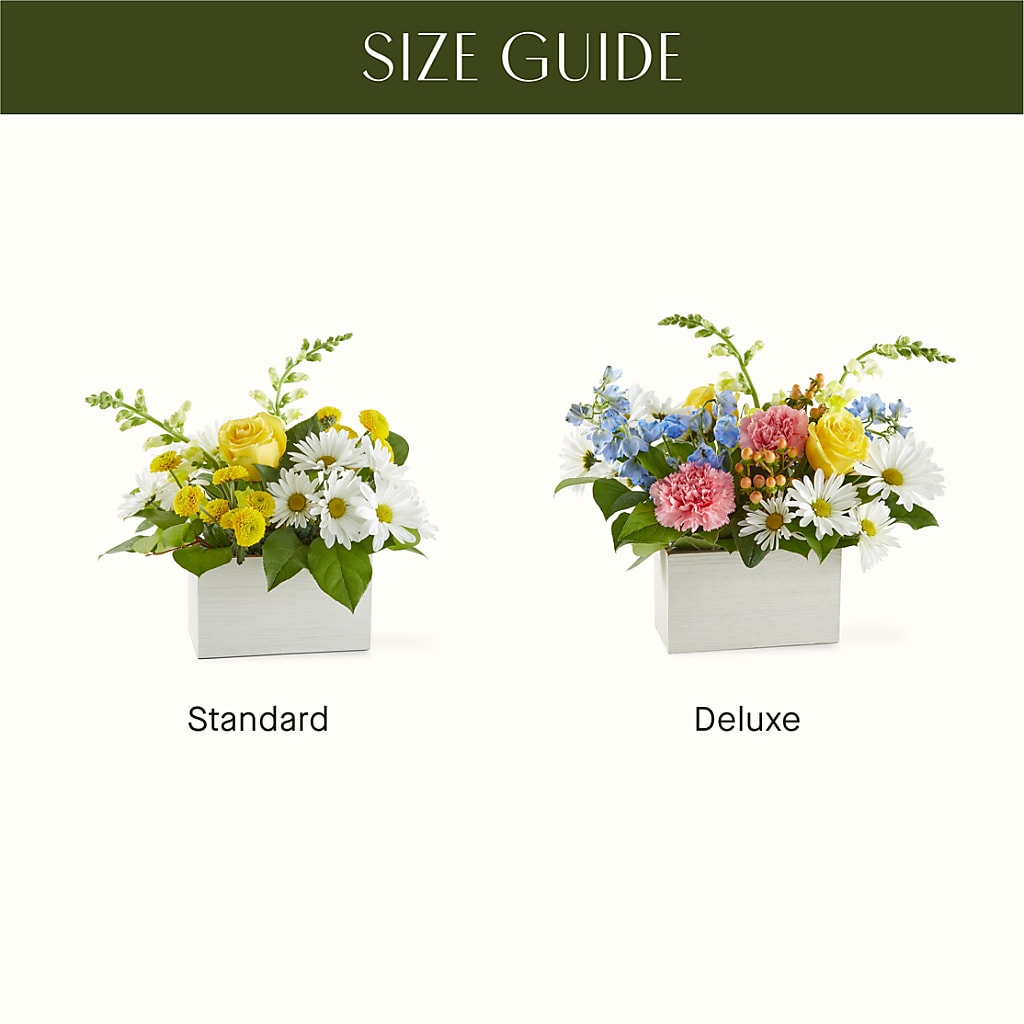 Sun Salutation Box Bouquet – AMELIA'S FLOWERS, Naples FL
