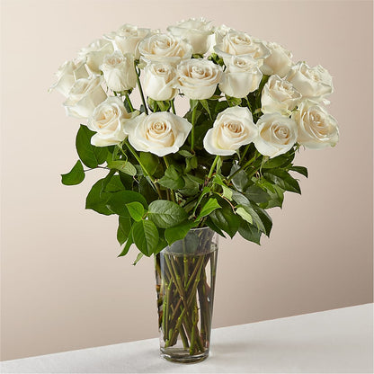 Long Stem White Rose Bouquet – AMELIA'S FLOWERS, Naples FL