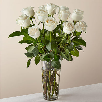 Long Stem White Rose Bouquet – AMELIA'S FLOWERS, Naples FL