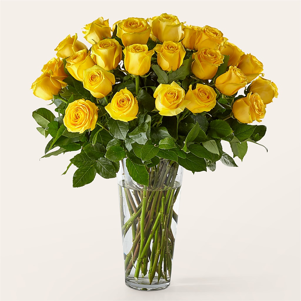 Long Stem Yellow Rose Bouquet – AMELIA'S FLOWERS, Naples FL