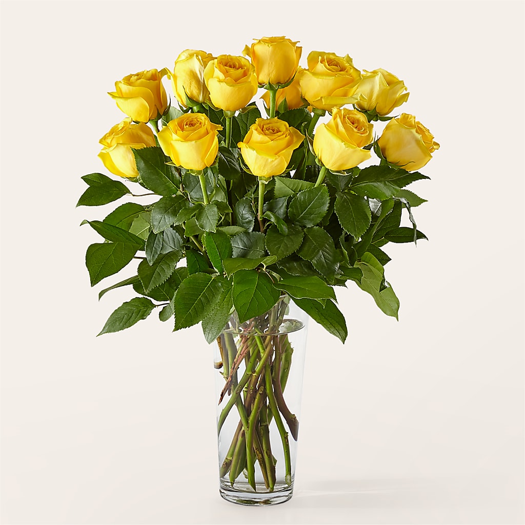 Long Stem Yellow Rose Bouquet – AMELIA'S FLOWERS, Naples FL