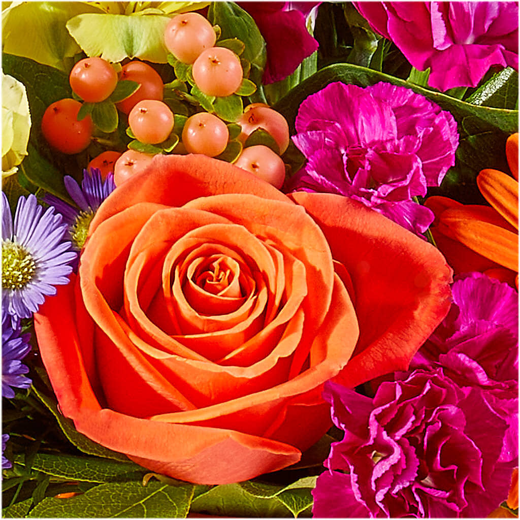 Tricks & Treats Pumpkin – AMELIA'S FLOWERS, Naples FL