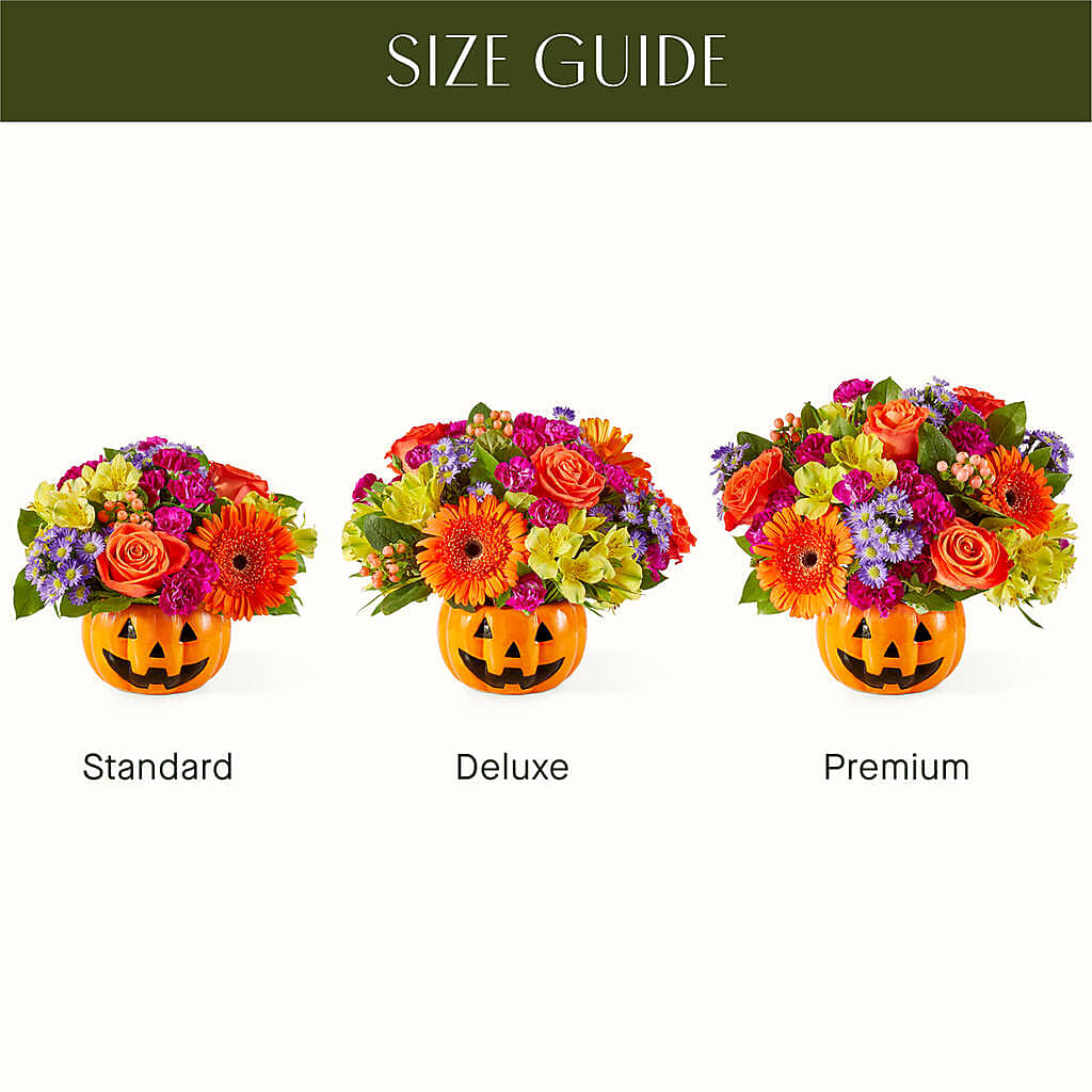 Tricks & Treats Pumpkin – AMELIA'S FLOWERS, Naples FL