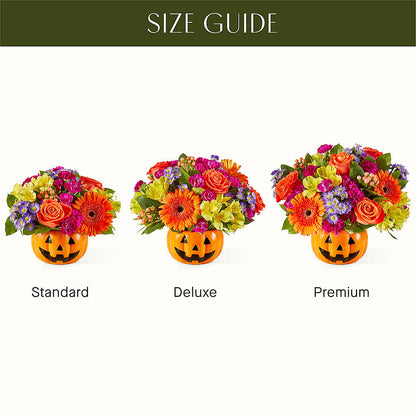 Tricks & Treats Pumpkin – AMELIA'S FLOWERS, Naples FL