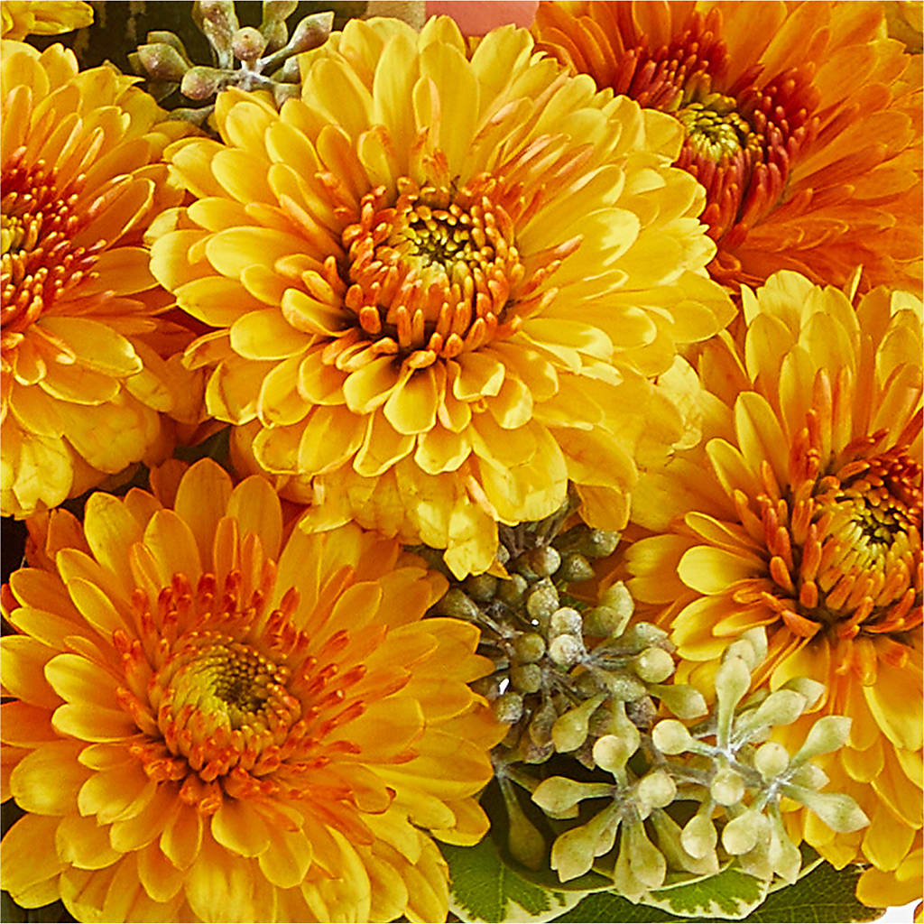 Peachy Pumpkin – AMELIA'S FLOWERS, Naples FL