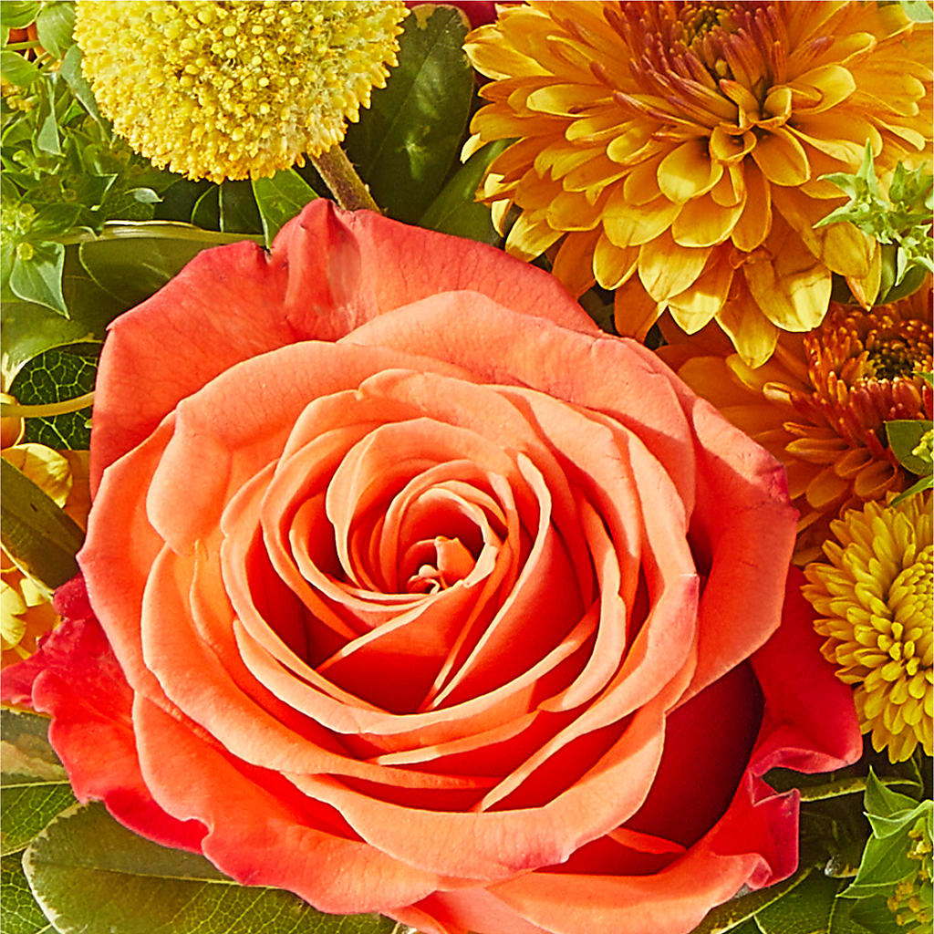 Gourdgeous Pumpkin – AMELIA'S FLOWERS, Naples FL