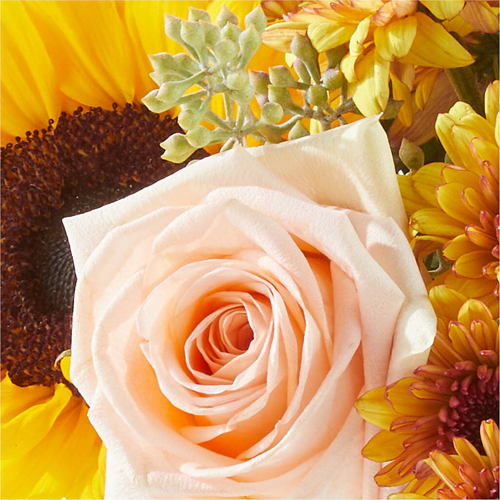 Pumpkin to Talk About Bouquet – AMELIA'S FLOWERS, Naples FL