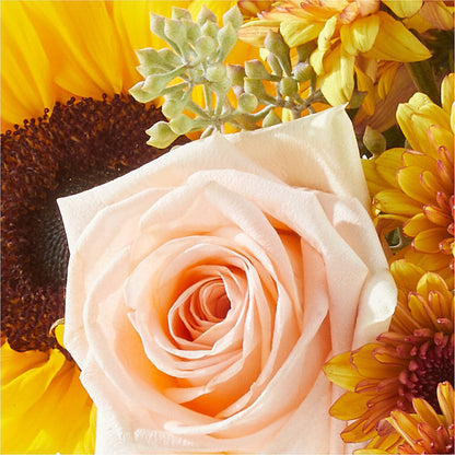 Pumpkin to Talk About Bouquet – AMELIA'S FLOWERS, Naples FL