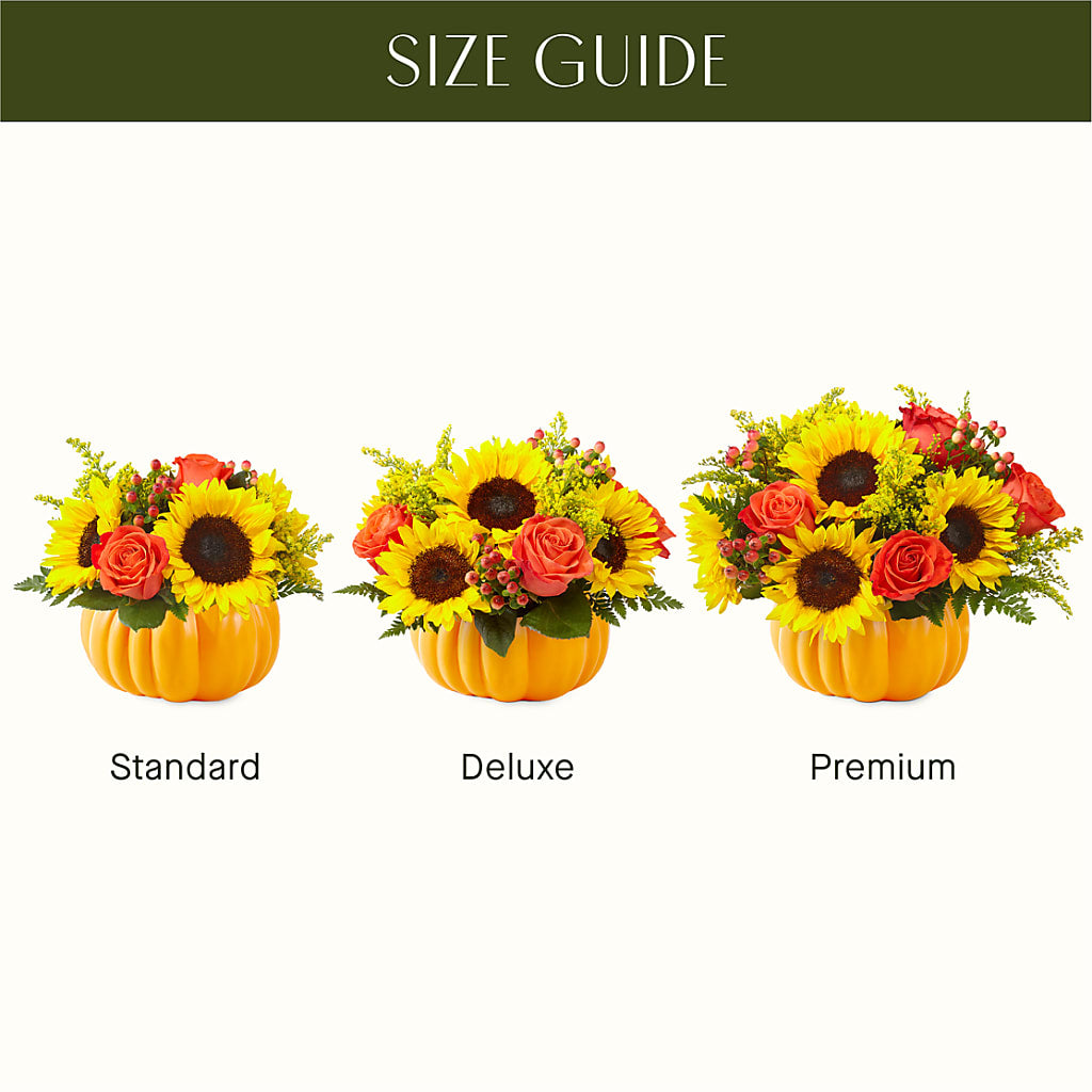 Pick of the Patch Pumpkin Bouquet – AMELIA'S FLOWERS, Naples FL