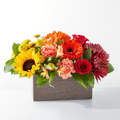 Autumn Orchard Bouquet – AMELIA'S FLOWERS, Naples FL