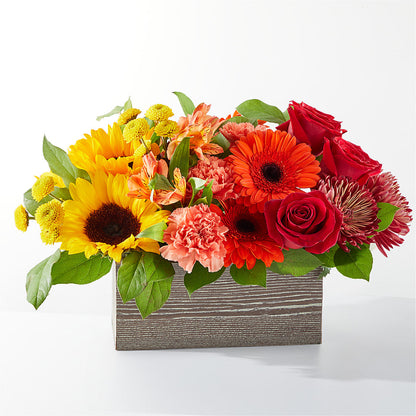 Autumn Orchard Bouquet – AMELIA'S FLOWERS, Naples FL