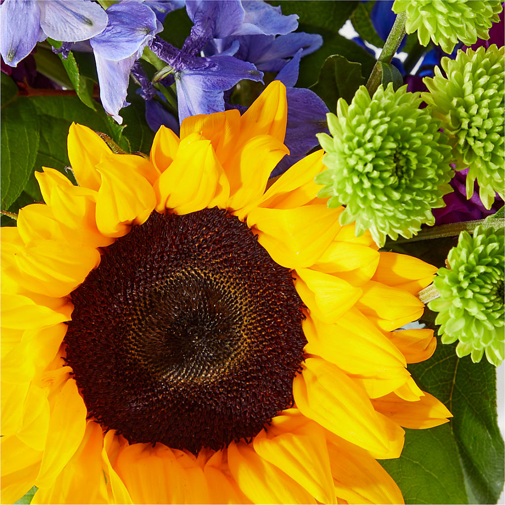 Catching Rays Bouquet – AMELIA'S FLOWERS, Naples FL