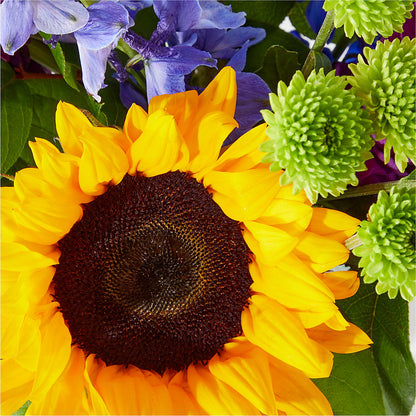Catching Rays Bouquet – AMELIA'S FLOWERS, Naples FL