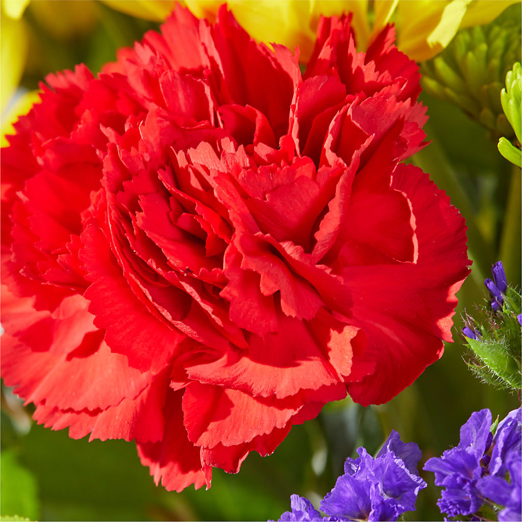 Brighter Days Bouquet – AMELIA'S FLOWERS, Naples FL