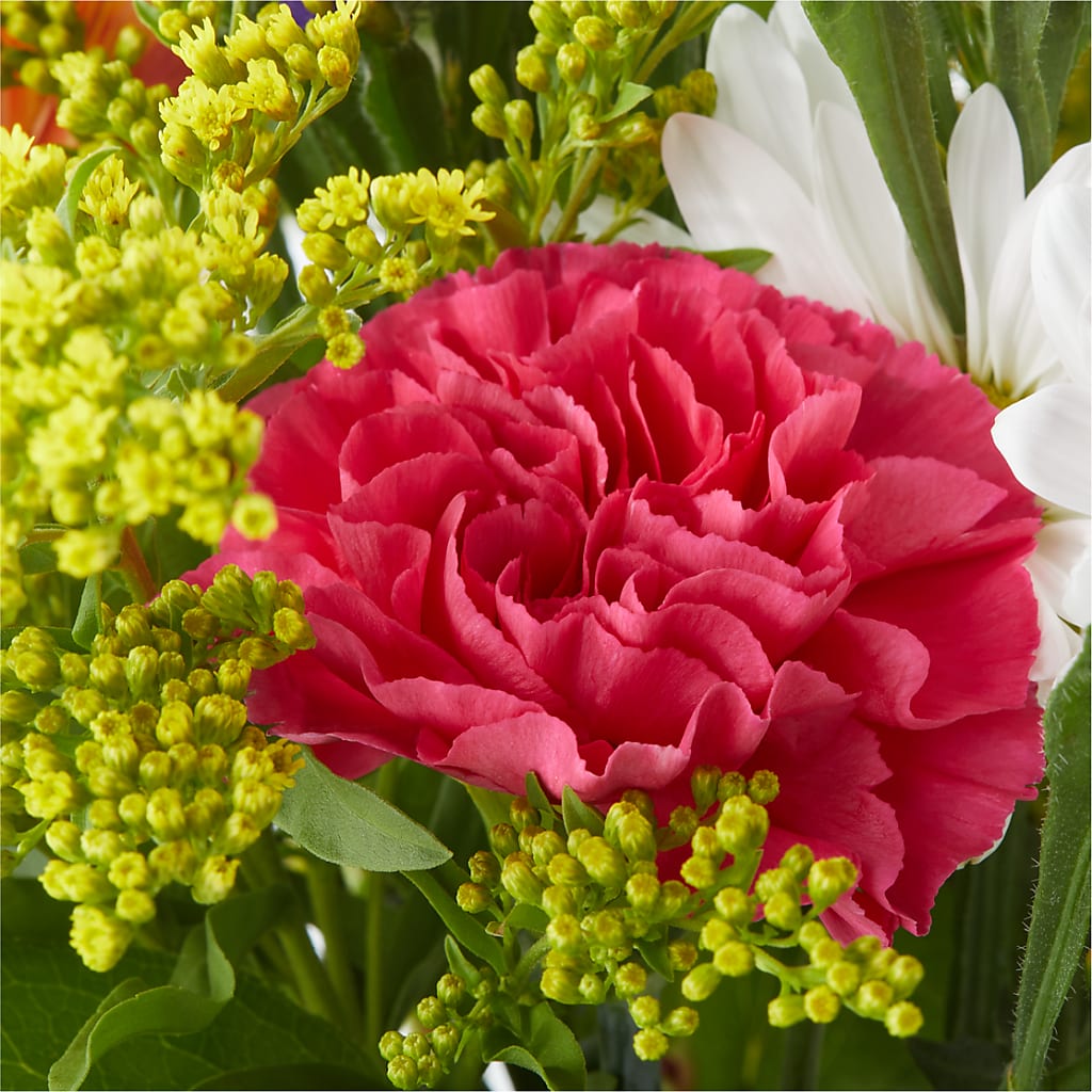 Oopsie Daisy Bouquet – AMELIA'S FLOWERS, Naples FL