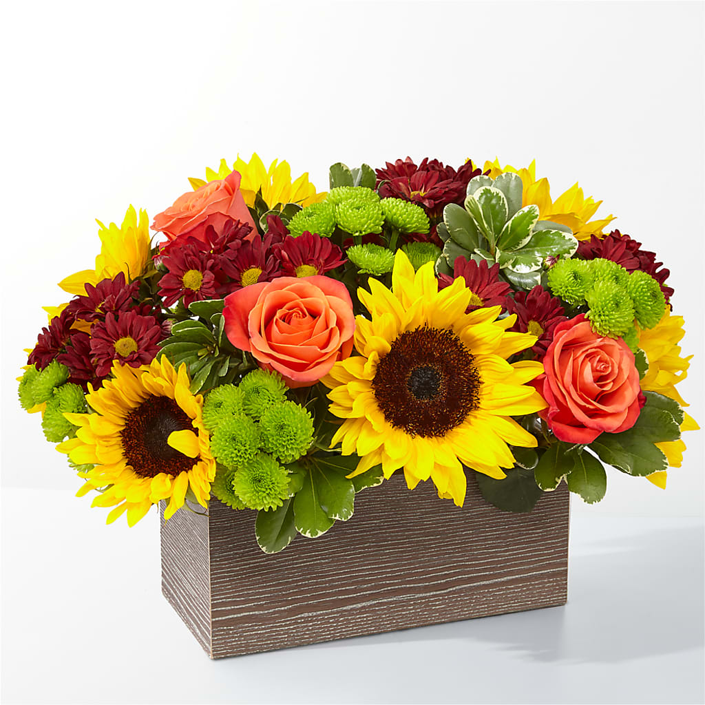 Happy Harvest Garden – AMELIA'S FLOWERS, Naples FL