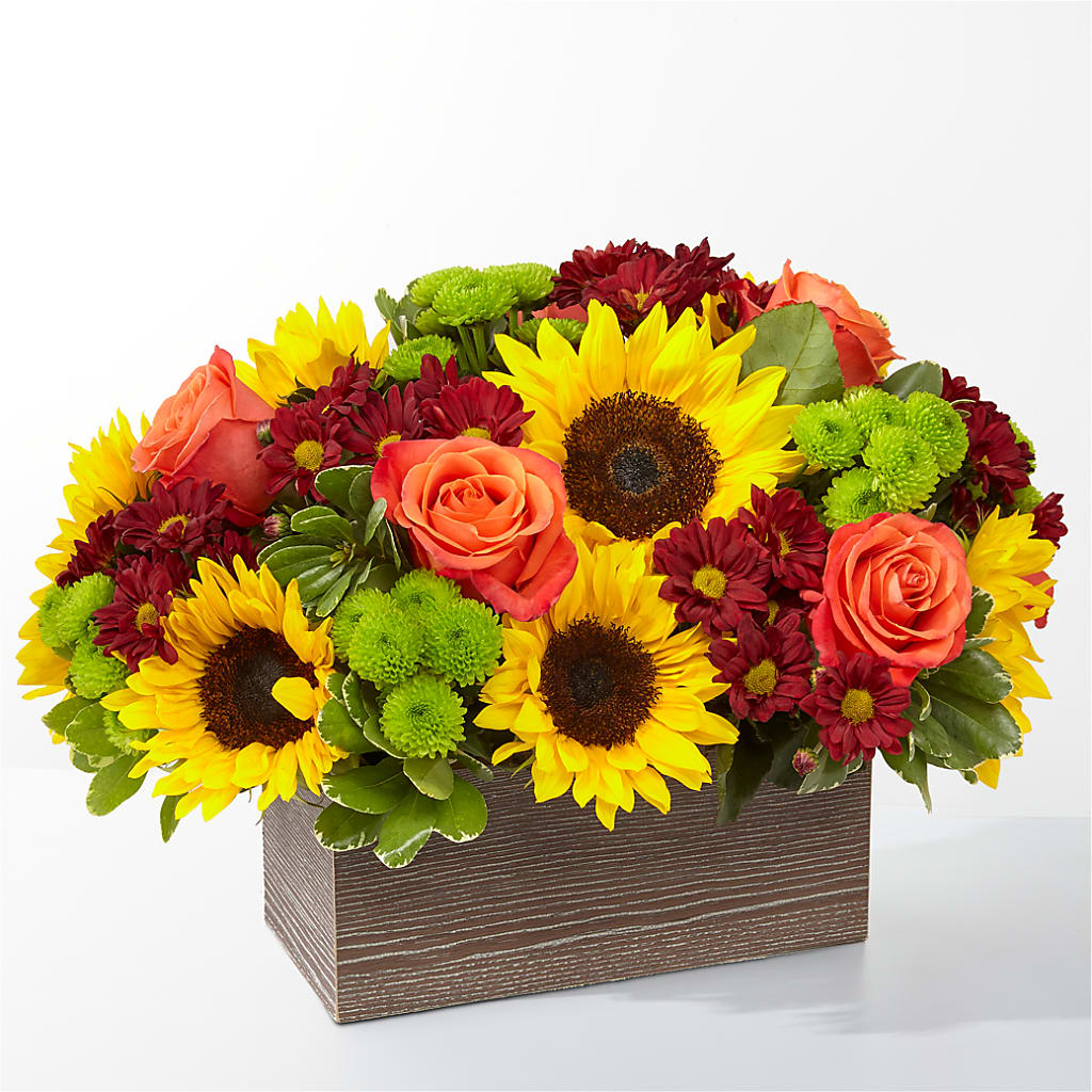 Happy Harvest Garden – AMELIA'S FLOWERS, Naples FL