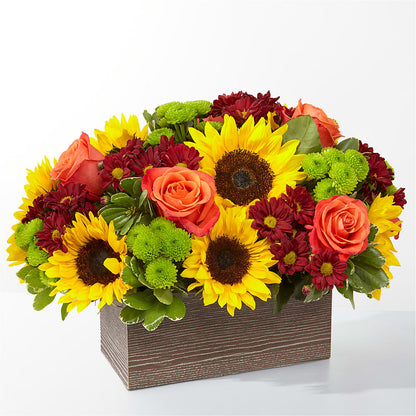 Happy Harvest Garden – AMELIA'S FLOWERS, Naples FL