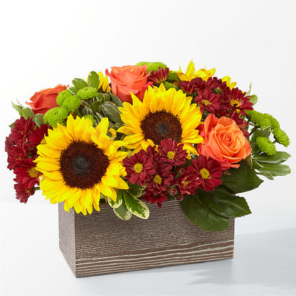 Happy Harvest Garden – AMELIA'S FLOWERS, Naples FL