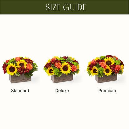 Happy Harvest Garden – AMELIA'S FLOWERS, Naples FL