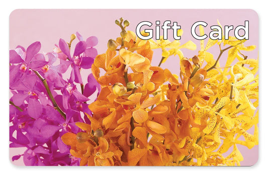 Gift Card – AMELIA'S FLOWERS, Naples FL